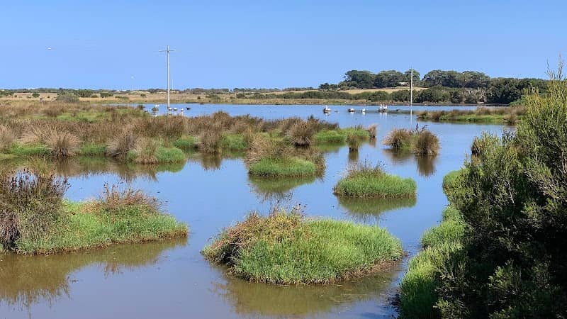 Fisher’s Wetland - Image 1