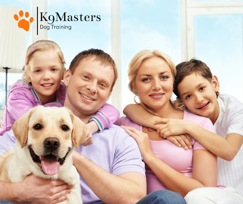 K9MASTERS Σχολή εκπαίδευσης σκύλων - Dog Park - Image 1