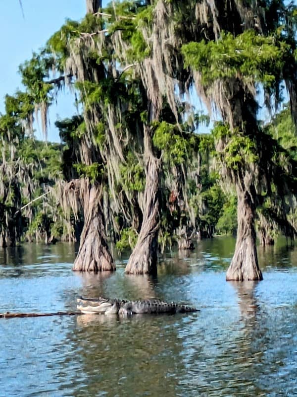 Lake Martin, LA - Image 1