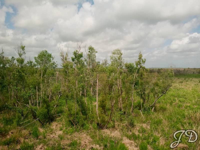 Des Allemands - Image 1