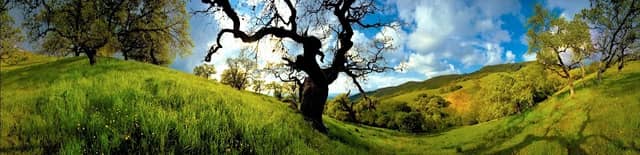 Save Mount Diablo - Image 1