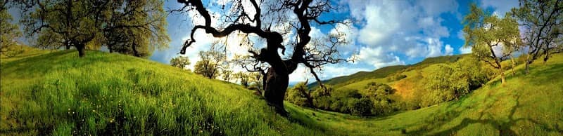 Save Mount Diablo - Image 1