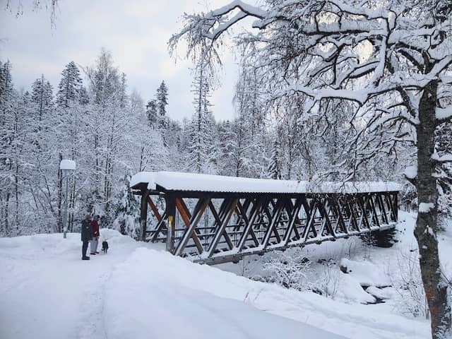 Mesnaelva - Image 2
