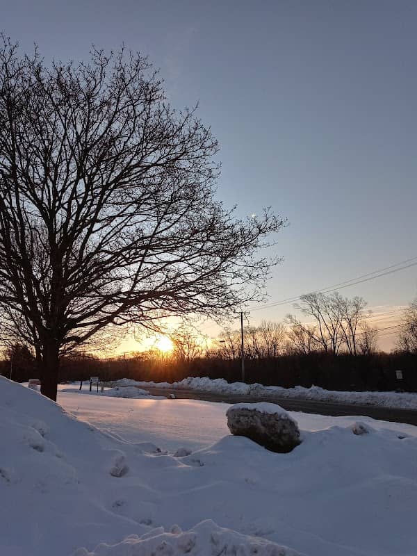 Otter Creek Forest Preserve - Image 1