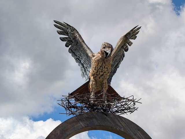 Flight of the Hawk Park - Image 2