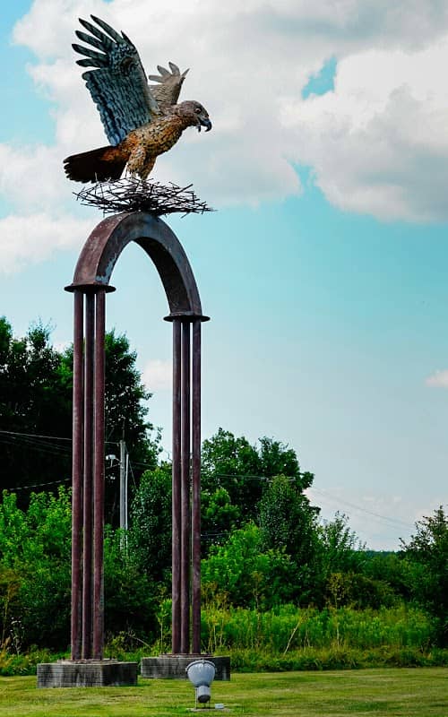 Flight of the Hawk Park - Image 1