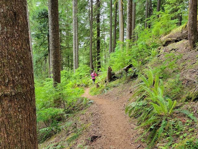 Woods Creek Trailhead - Image 1