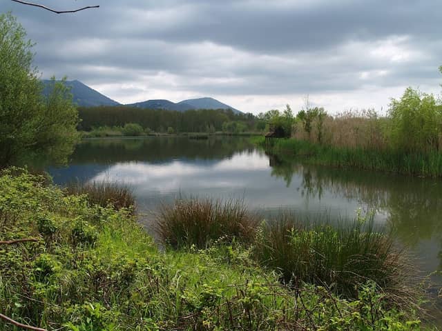 Parco Pantanello - Image 1