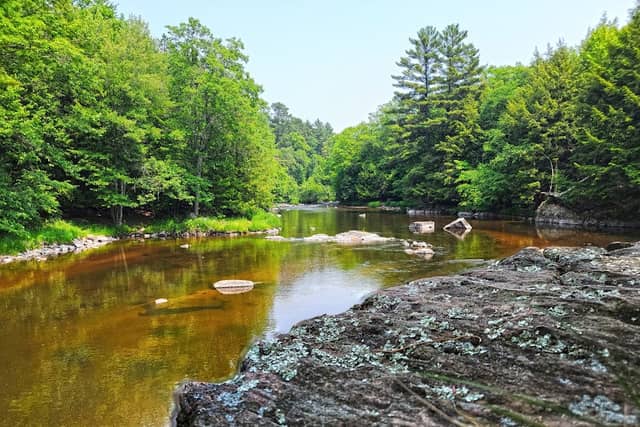 Dells of Eau Claire River State Natural Area - South Unit - Image 1