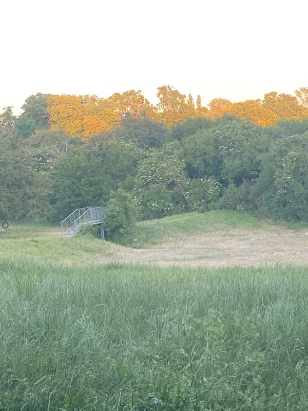 The Quarry - Image 2