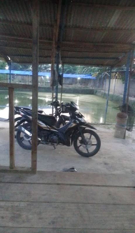 Kolam pancing saudara makmur - Image 2