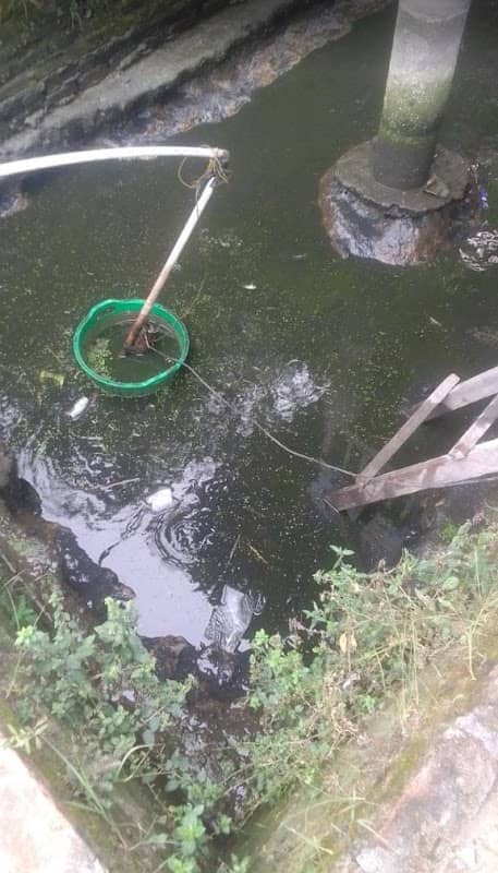 Kolam pancing saudara makmur - Image 1