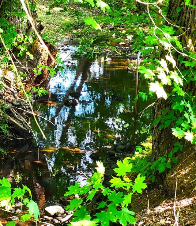 Tannery Brook - Image 1