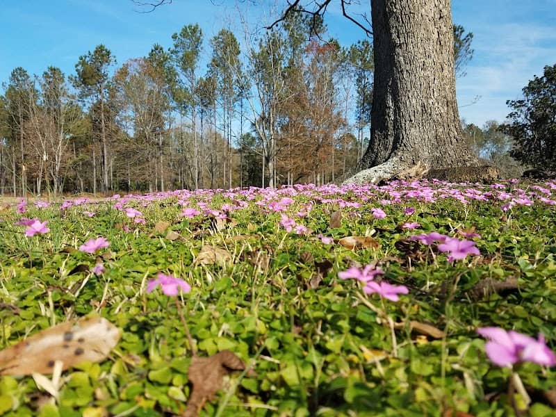 Gloster Arboretum - Image 1