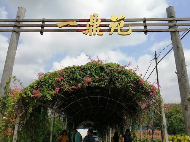 Supreme Bird Nest Enterprise - Image 1