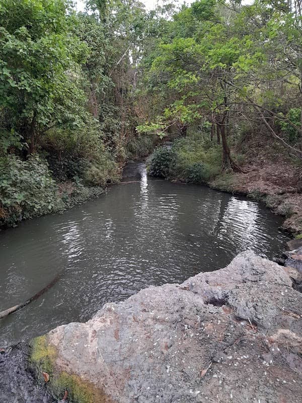 kathirune waterfalls - Image 2