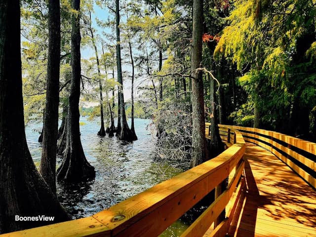 Reelfoot Lake State Park - Image 3