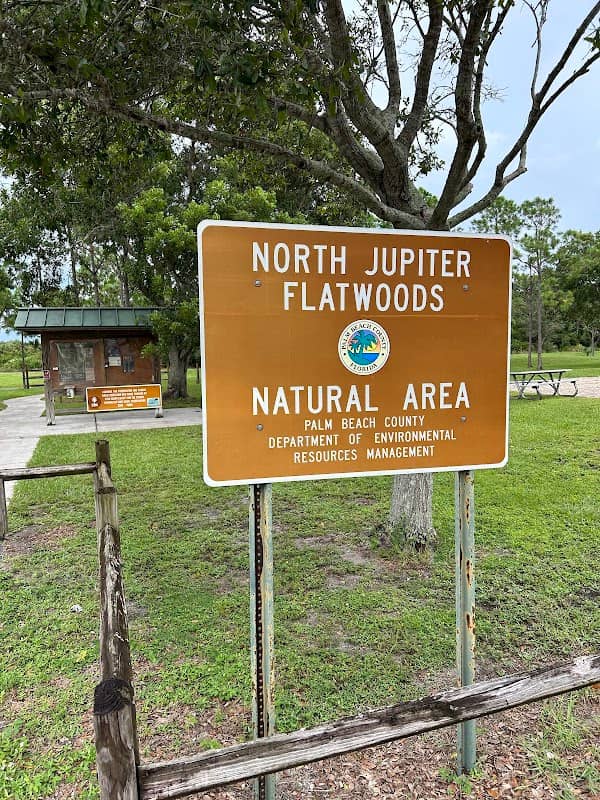 North Jupiter Flatwoods Natural Area - Image 2