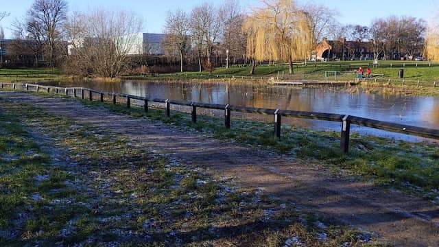 Selby Wildlife Pond - Image 1