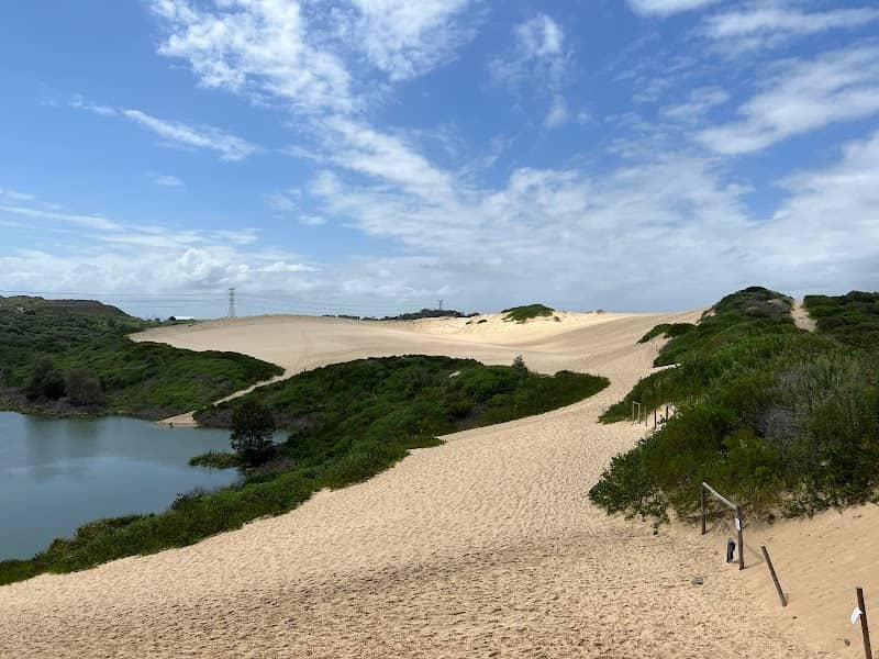 Cronulla Sand Dunes - Image 1