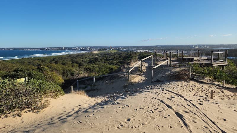 Cronulla Sand Dunes - Image 3