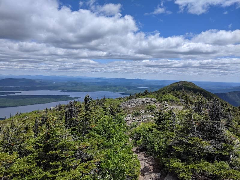 Bigelow Preserve - Image 1