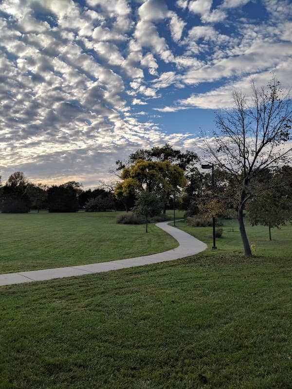 Wayne Park - Image 1