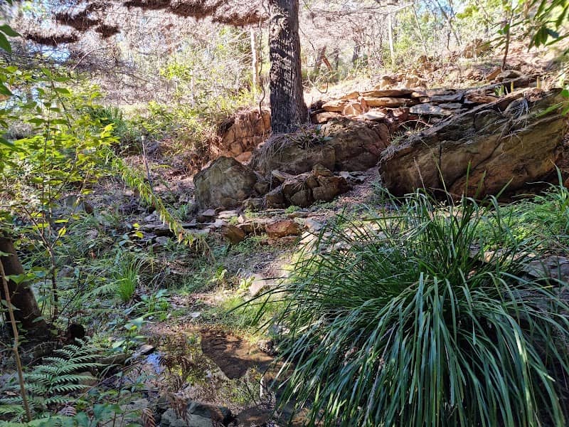Burrendong Botanic Garden and Arboretum - Image 1