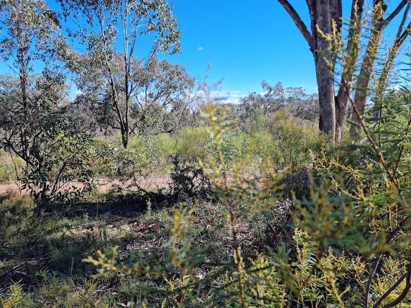 Burrendong Botanic Garden and Arboretum - Image 2