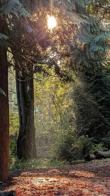 Ravine Park - Image 1