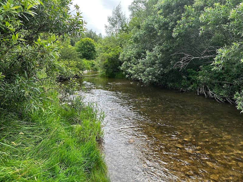 Bowmanville Creek Fish Ladder - Image 2
