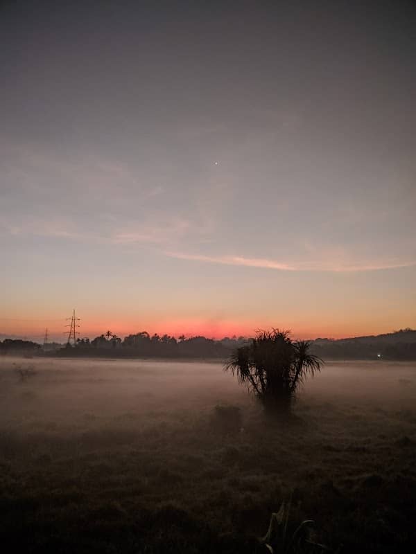 Akanadu ViewPoint - Image 2