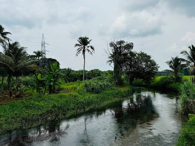Akanadu ViewPoint - Image 1