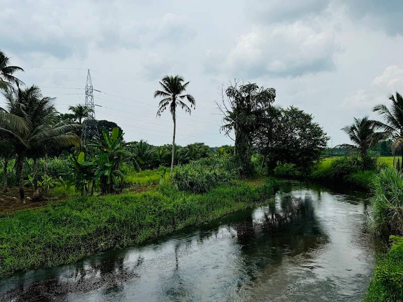 Akanadu ViewPoint - Image 1