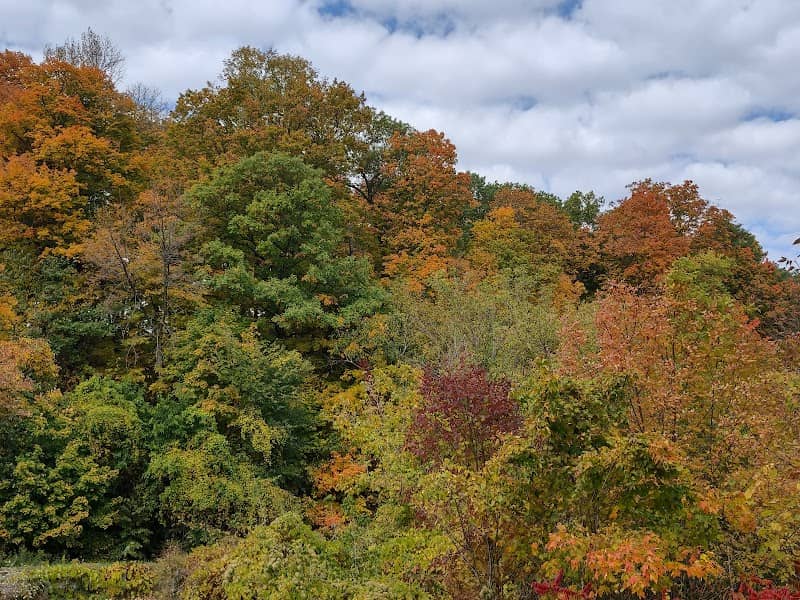 Mississippi River Scenic Overlook - Image 2