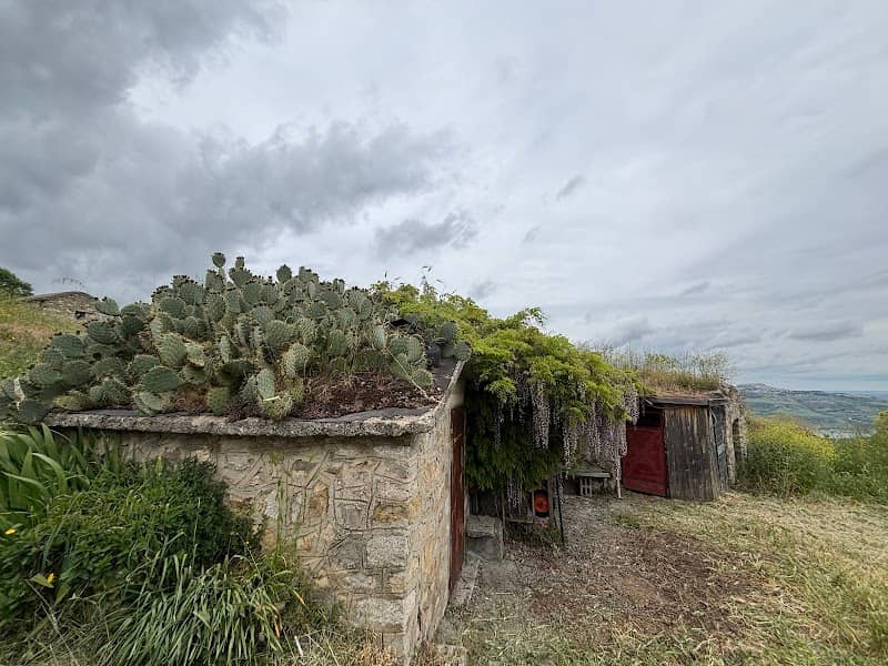 Casa con tetto cactus - Image 1