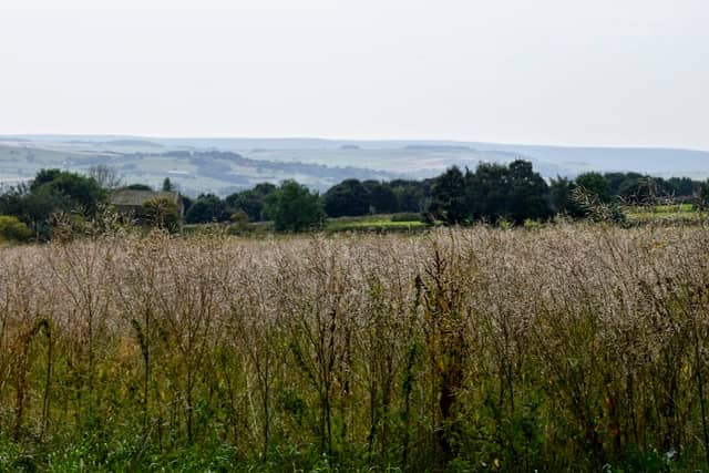 Hoyland Hill - Image 1