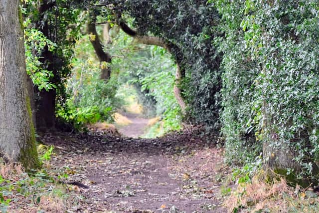 Hoyland Hill - Image 2