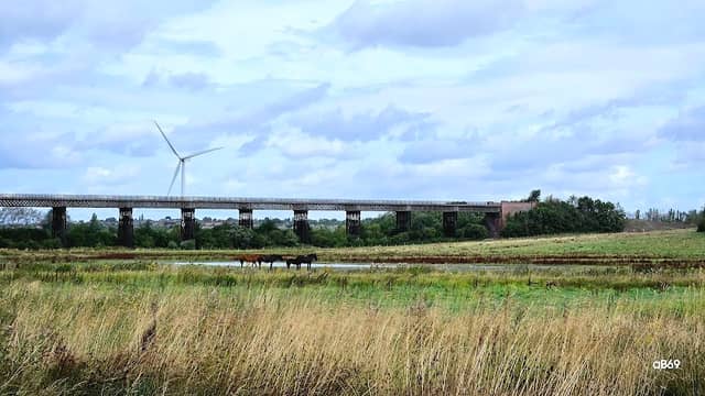 Windston the Wind Turbine - Image 2