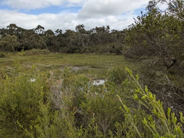 Langwarrin Flora & Fauna Reserve (Parks Victoria) - Image 1