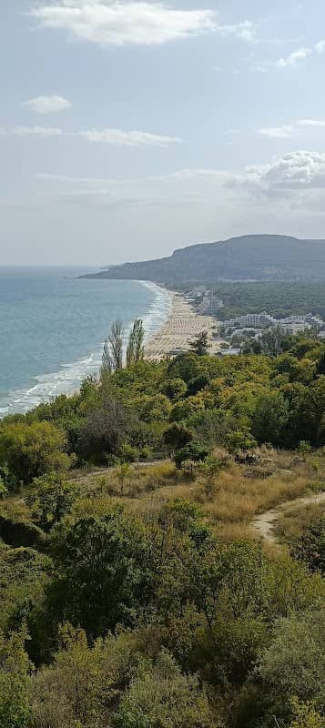 Viewpoint - Image 1