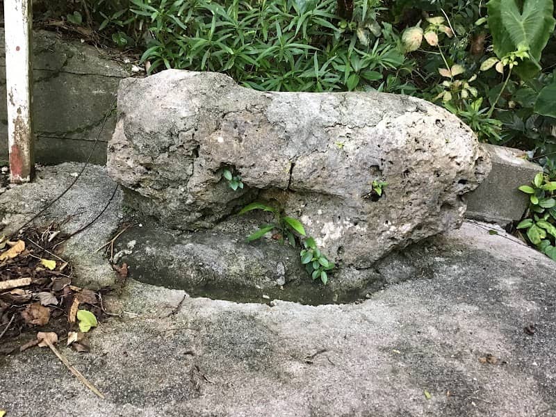 Kanegusuku Stone Lion - Image 1