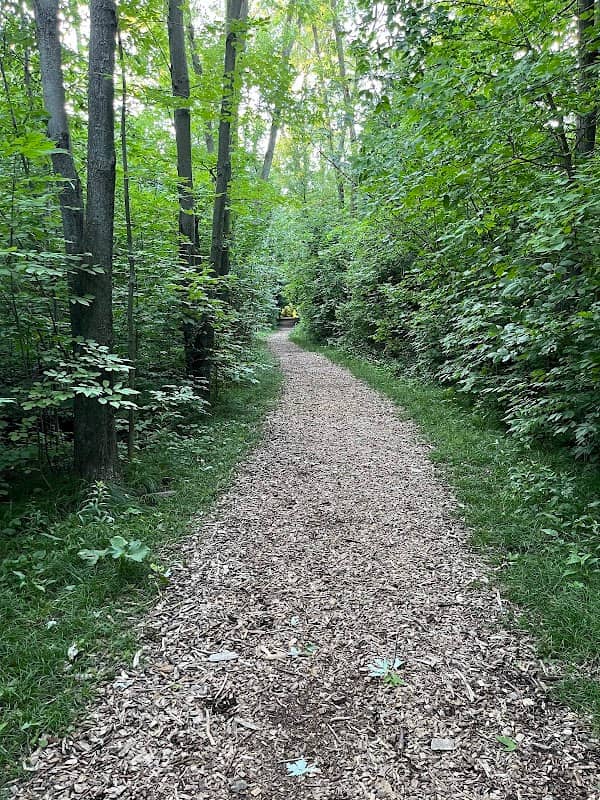 Centennial Forest Park - Image 1