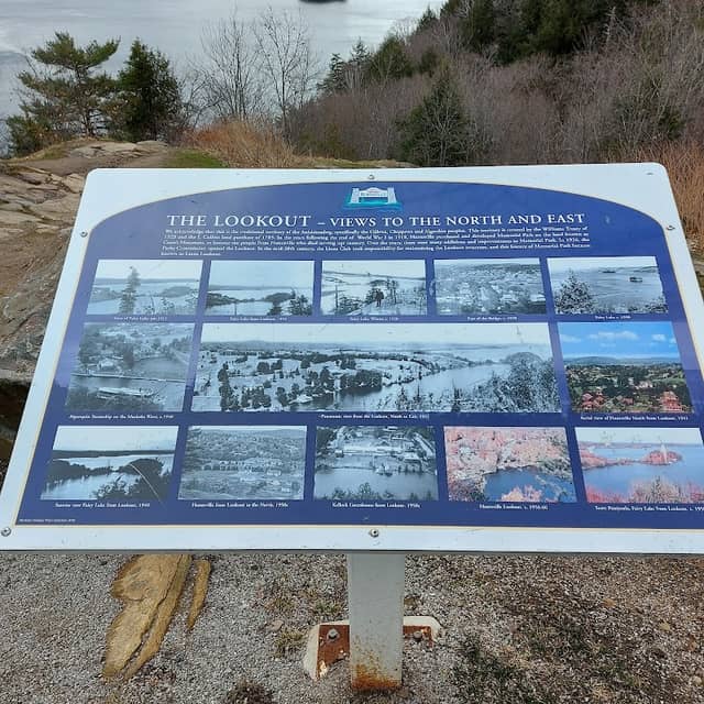 Lions Lookout - Image 3