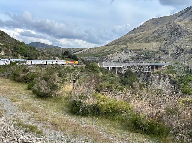 TranzAlpine: Scenic Train Christchurch - Greymouth - Image 3
