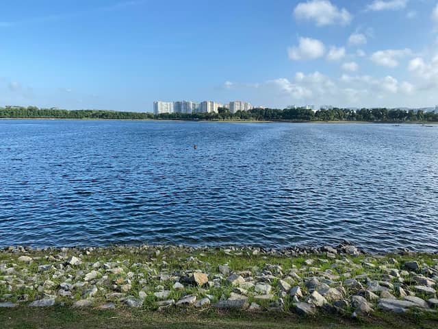 Bedok Reservoir Boardwalk - Image 2