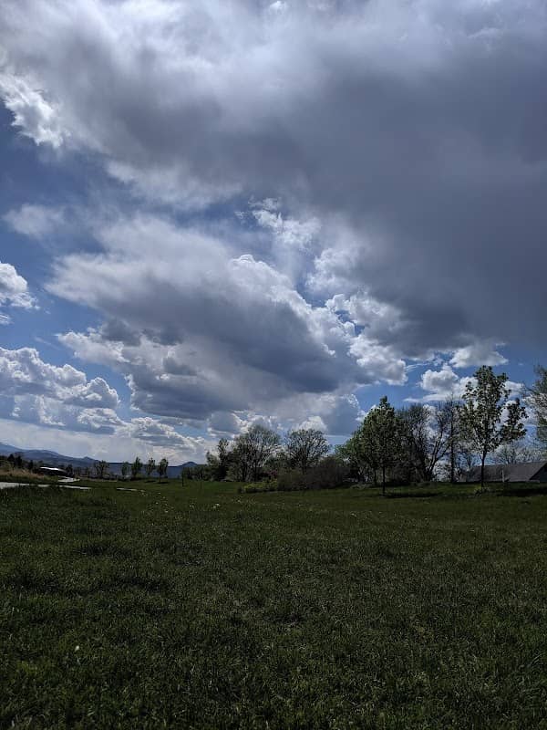 Hoskinson Park - Image 2