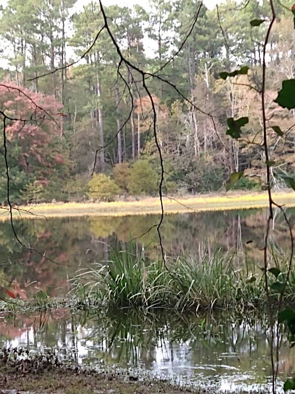 Iron Lake - Image 1