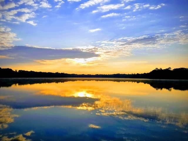 Cleary Lake Regional Park - Image 2