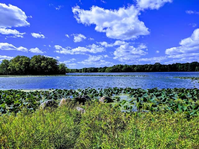 Cleary Lake Regional Park - Image 3